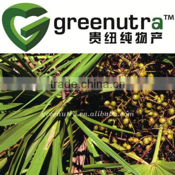 GMP Saw Palmetto Extract Powder