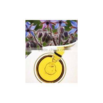 NSF Certificate Supplier Medical Borage Seed Oil Cure PMS photo-2