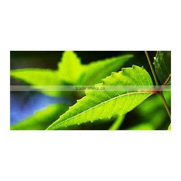 neem oil chemicals