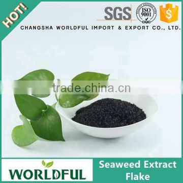 Worldful wholesale best quality seaweed extract flake for plant growth