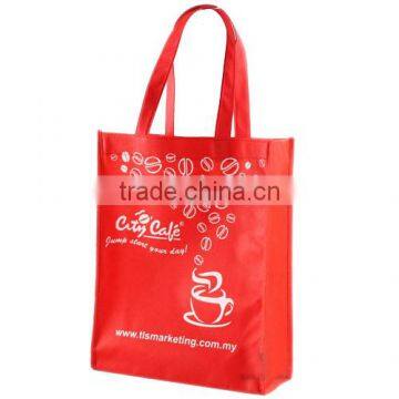 Eco Nonwoven Bag/Shopping Bag/Recycle Bags (BCS001)