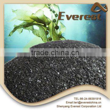 Private Custom Perferct Combination Organic Soil Seaweed Extract
