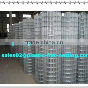 Welded wire mesh(factory)