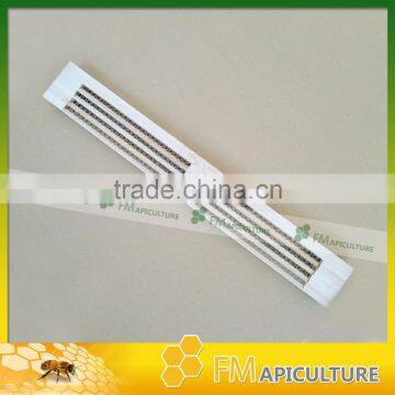 3/4/5/6 rows wooden pollen collector to collect pollen ; pollen collecting tool; pollen collector ; pollen trap