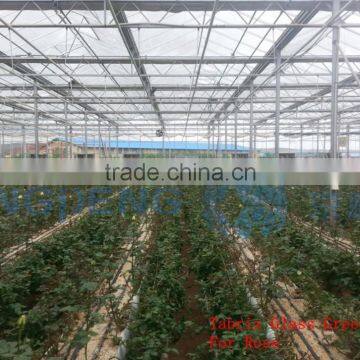 Agricultural Commercial Glass Greenhouses (ISO9001:2000) photo-2