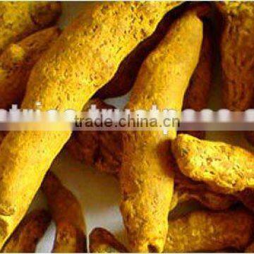 Turmeric Fingers photo-2