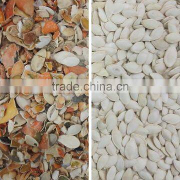 Pumpkin Seeds and Sunflower Seeds Color Sorter/processing Machine With RGB CCD Camera photo-6