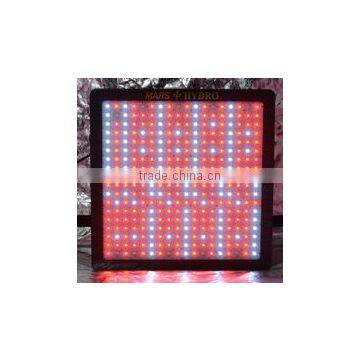 indoor growth supply 1600W Greenhouse Veg/Bloom/Flower LED Grow Light full spectrum wholesale cob grow led lamp