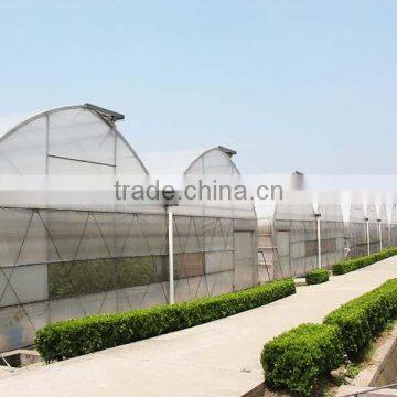 Large Plastic Film Multi-span Greenhouse Poly Covering Greenhouse photo-3