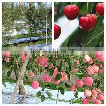 High Quality Silver Reflective Ground Cover Fabric photo-4