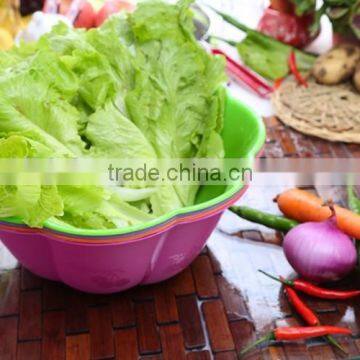 Hot Bsale Plastic 8 Sides Vegetable Fruit Washing Storage Basket for Daily Life photo-3