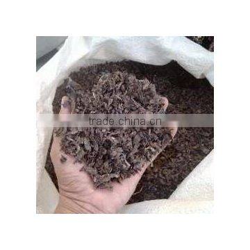 Chopped Sargassum Seaweed photo-3