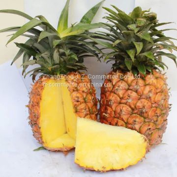 Pineapple