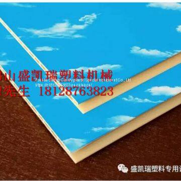 Pvc Wallboard Extrusion Production Line photo-2