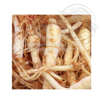 Quality Ginseng Oil Wholesale