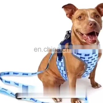 Pet supplies LED lights luminous small and medium dogs chest back traction rope set