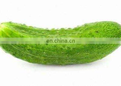 Watsapp +86 15140601620 Shrink Wrapping Meat Pork Beef Chicken Packing Machine photo-3