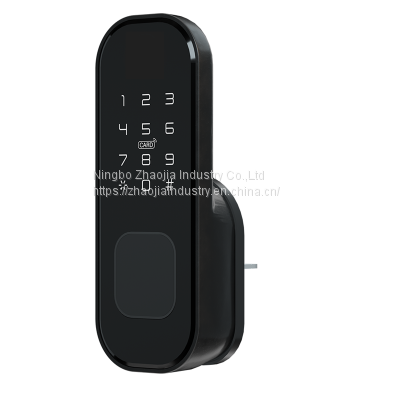 China factory biometric fingerprint password bluetooth appdoor lock for home apartment lodging