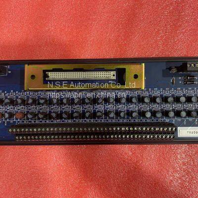 ICS Triplex T8800 TrustedTM 40-канальный цифровой вход 24 В постоянного тока FTA