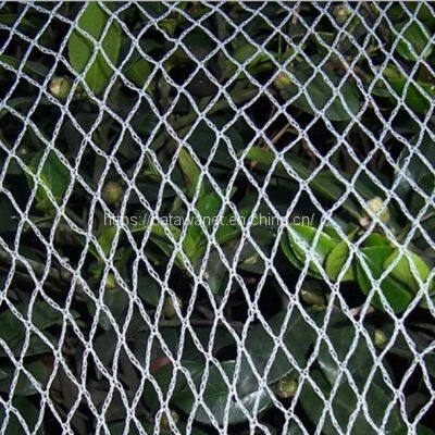 Batawa White Diamond Mesh Bird Netting 5m x 5m