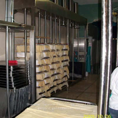 Cheese Factory Equipment Mozzarella Cheese Machine Price in China