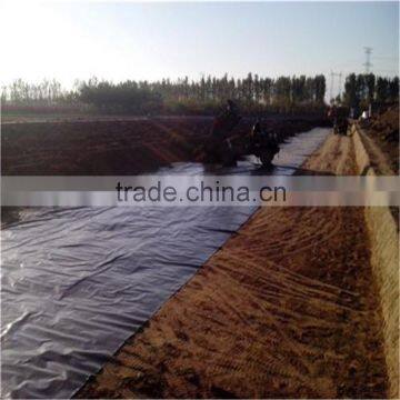 Cheap price waterproof liner HDPE geomembrane for dam and pond and tunnel