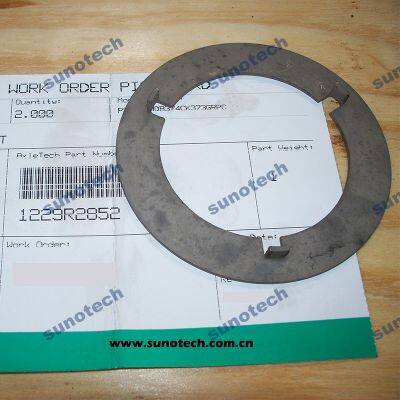 WSHR 1229G3101 1229R2852 1229V3116 photo-2