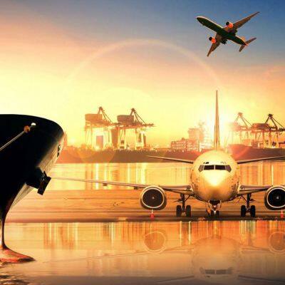 Rapid Air-to-Door Logistics: Expert Sensitive Goods Handling (SA)