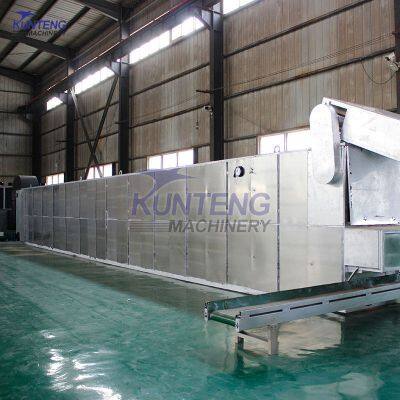 Huge Capacity Continuous Chilli Mesh Belt Drying Machine Vegetables Dryer Equipment photo-4