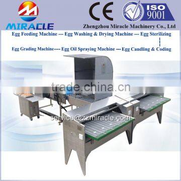 Chicken eggs picking, graded eggs, sorting machine of egg production plant with 5,000 eggs picker grading equipment