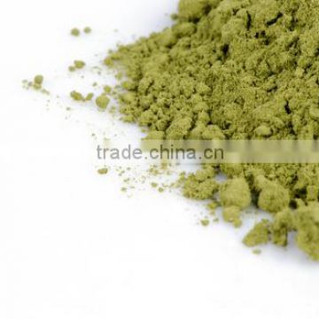 Top Supplier Raw Material Moringa Oleifera Extract