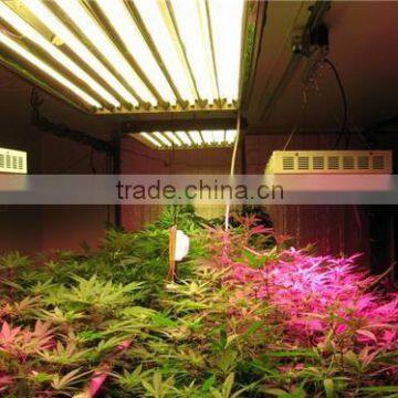 CE Approved Bridgelux Chips LED RGB RGBW Full Spectrum Plant Grow Light