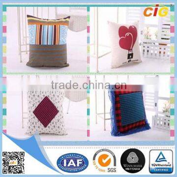 2014 New design cushions home decor