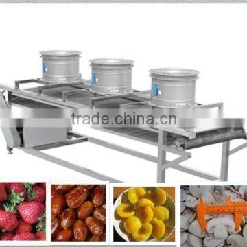 fruit drying machine/dehydration machine/industrial food dehydrator