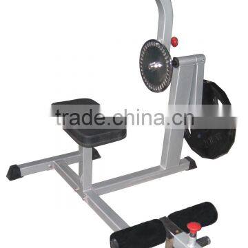 fitness equipment Back Extension T2-007