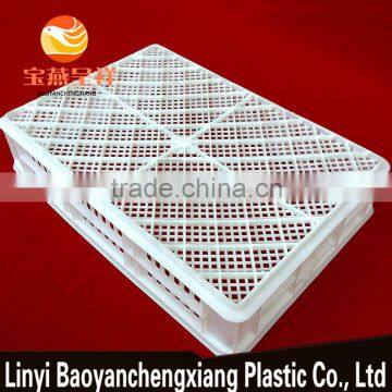 605x420x130mm Plastic Storage Basket for Freezing Duckling, Chicken, Food Transportation photo-6
