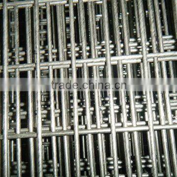 galvanized 2x4 welded wire mesh best quality