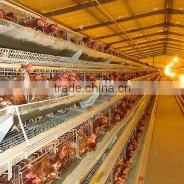 China good price poultry chicken cages for chicken farm