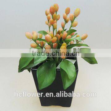 2014 Most new popular hot sale interior decorating plant