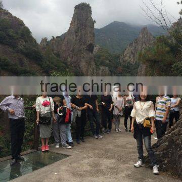 Bold Frame Ladies Fashion Sunglasses,star Styles photo-2