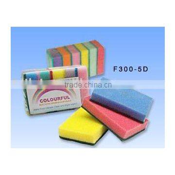 Sponge Scouring Pad