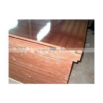 eucalyptus film faced plywood , film faced plywood(printed with logo) , film faced plywood for concrete