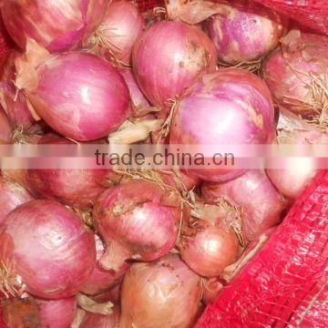 whole Red Onion