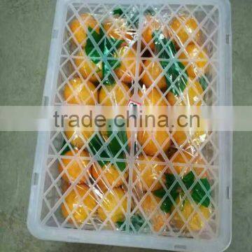 Fresh Sweet Naval Orange photo-6