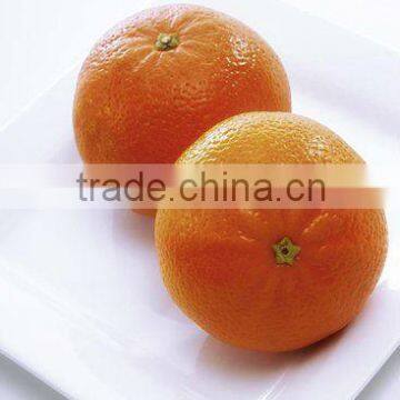 Yellow Navel Orange In 14kg Plastic Box