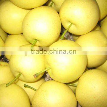 chinese golden pear