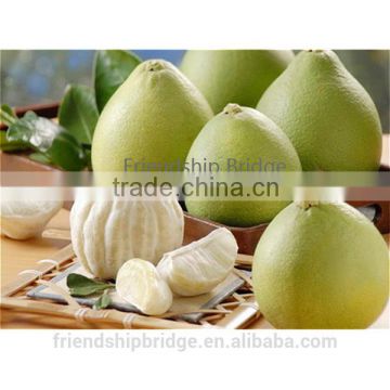 Honey Pomelo Fresh Fruit White meat Promotion Price