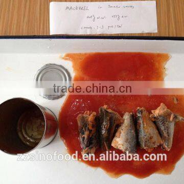 Canned Mackerel in Tomato Sauce Healthy and Good Food