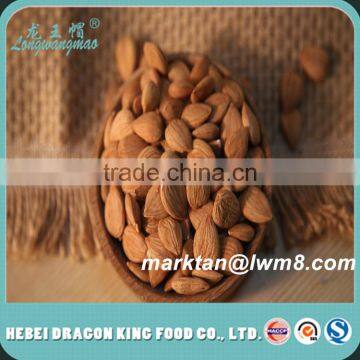 Quality Agricultural Apricot Seeds/ Apricot Kernels for Sale