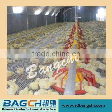 Big Discount Used Automatic Chicken Feed System